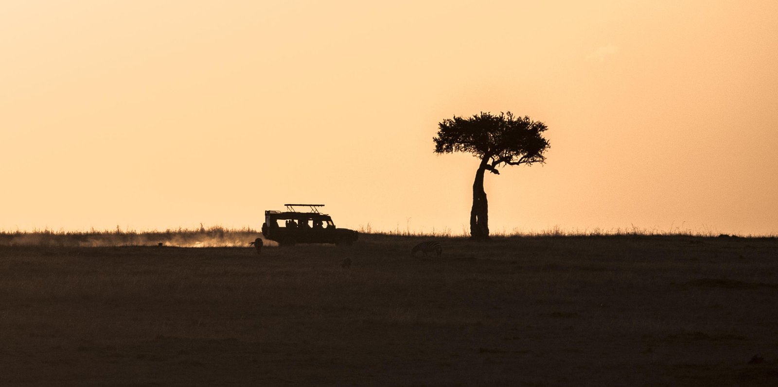 Safari Twilight 